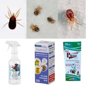 Spray for finches mites and lice 
