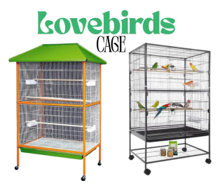 lovebirds cage